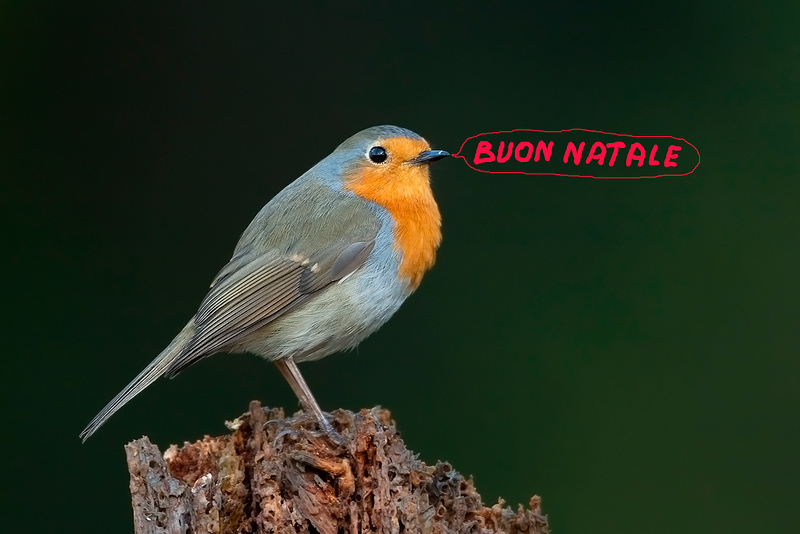 Auguroni a tutti